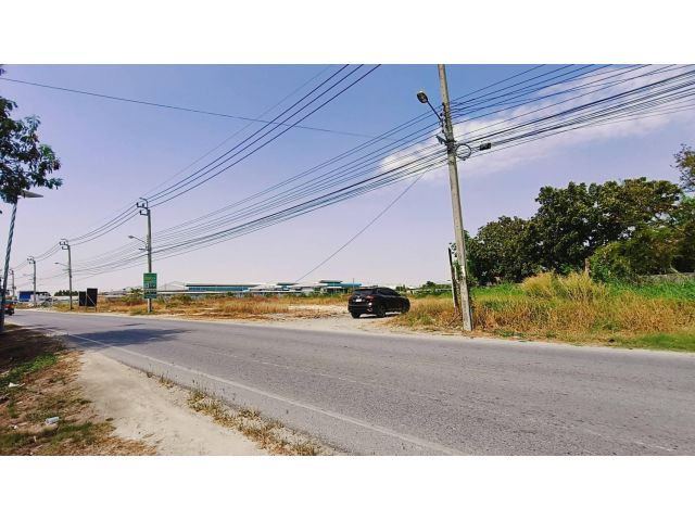 ที่ดินใกล้นิคมบางพลี ถมสวย ขายถูก!!!