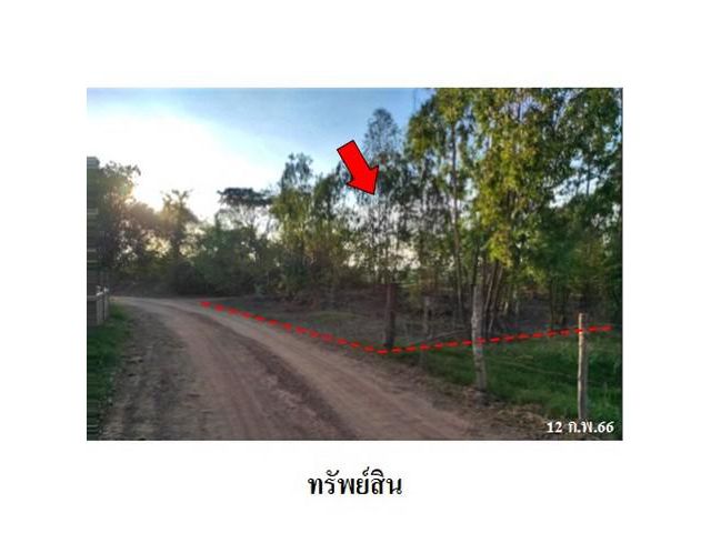 ขายที่ดินว่างเปล่า ต.โพนงาม อ.โกสุมพิสัย จ.มหาสารคาม