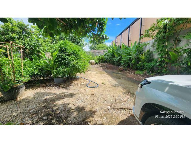 ให้เช่าที่ดิน 1 งาน อำเภอเมือง อยู่ด้านหลังโลตัส