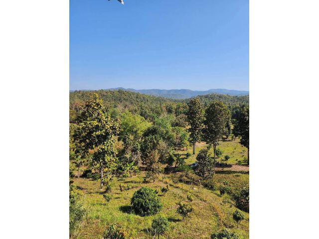 ที่ดินวิวสวยพื้นที่ 10 ไร่ 2.5 ล้าน