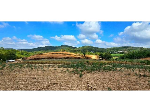 ที่ดินวิวเขาปากช่องโคราชสูงกว่าทะเล480ม.โครงการติดลาดยาง เริ่ม200