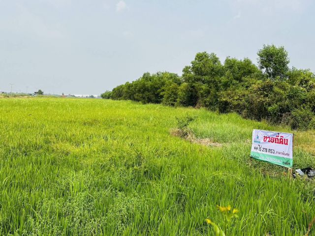ขายที่ดินเปล่าแปลงใหญ่ 44 ไร่ 290 ตรว. ใกล้มหาวิทยาลัยศรีนครินทรวิโรฒ องครักษ์ นครนายก