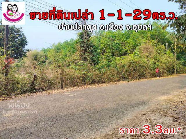 (UL-670156) ขายที่ดินเปล่า 1ไร่ 1งาน 29ตารางวา บ้านปลาดุก ต.ไร่น้อย อ.เมือง จ.อุบลราชธานี