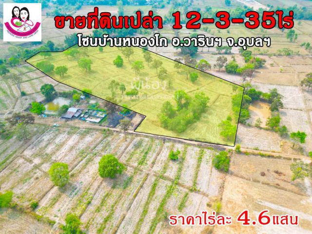 (UL-670160) ขายที่ดินเปล่า 12ไร่ 3งาน 35ตารางวา (ที่ดินโฉนด นส.4 ครุฑแดง) บ้านหนองโก ต.ธาตุ อ.วารินชำราบ จ.อุบลราชธานี