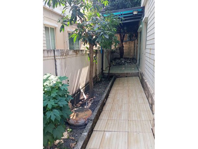 ขายบ้านเดี่ยว 2 ชั้น 3 ห้องนอน 2 ห้องน้ำ ต.พันธุ์ท้ายนรสิงค์ อ.เมือง จ.สมุทรสาคร