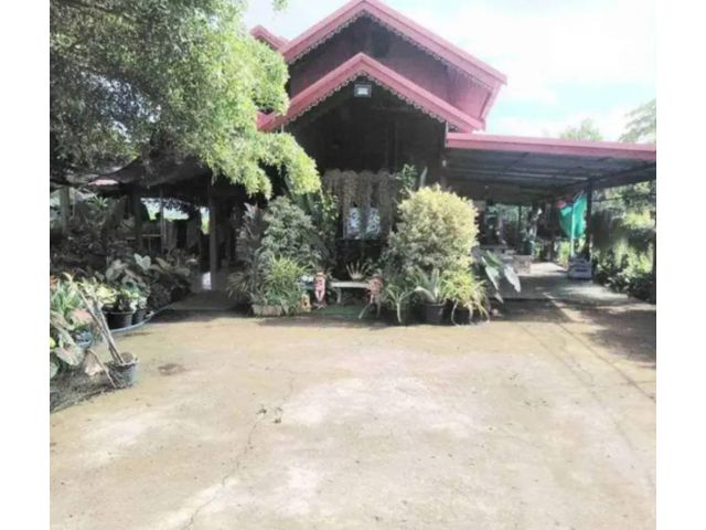 ขายที่ดินทำเลดี 2 ไร่ 3 งาน เจ้าของขายเอง คลอง13 หนองจอก ฝั่งตะวันออก   กทม