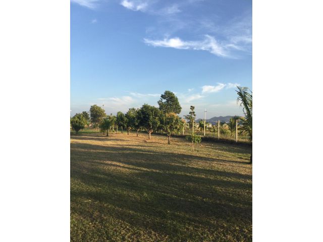 ขายที่ดินพร้อมสิ่งปลูกสร้าง เนื้อที่ 3 ไร่ 1 งาน 94 ตารางวา ตำบลพุแค จังหวัดสระบุรี