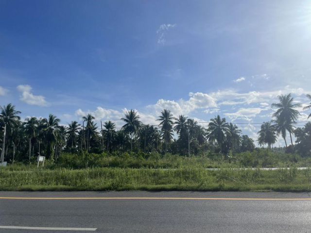 ขายที่ดินทำเลติดถนนใหญ่ หน้ากว้าง 112 เมตร ใกล้เซ็นทรัลสุราษฎร์