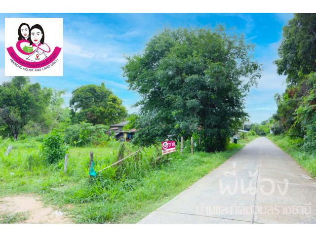 (UL-001134) ขายที่ดิน ใกล้รพ.50พรรษา เนื้อที่ 200ตารางวา
