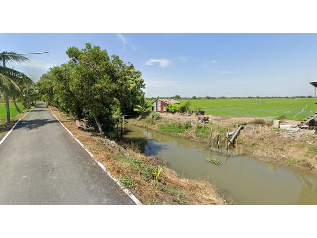 ขายที่ดิน 25 ไร่ คลองควาย อ.สามโคก จ.ปทุมธานี
