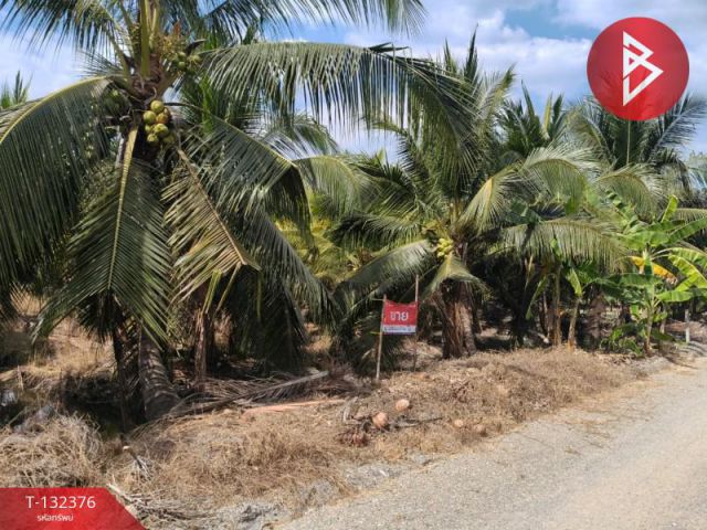 ขายที่ดิน เนื้อที่ 2 งาน บ้านแพ้ว สมุทรสาคร