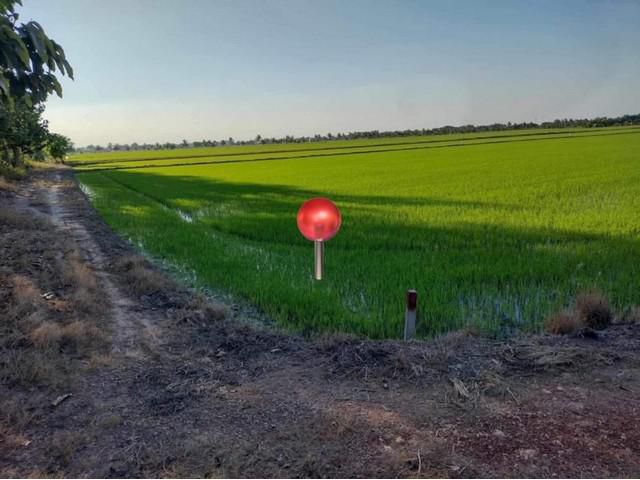 ที่ดินแบ่งแปลงขายเริ่มต้น 1 ไร่ถึง 10 ไร่ เขตคลองสามวา กรุงเทพฯ