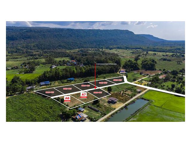 ที่ดินสวย วิวเขาวังทอง 200 ตร.วา ราคาดีที่สุด 299,000 บาท 097 446 4446