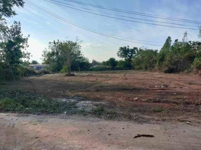 L1603 ขายที่ดินสวยทำเลดี 1 ไร่ ศรีมหาโพธิ ปราจีนบุรี