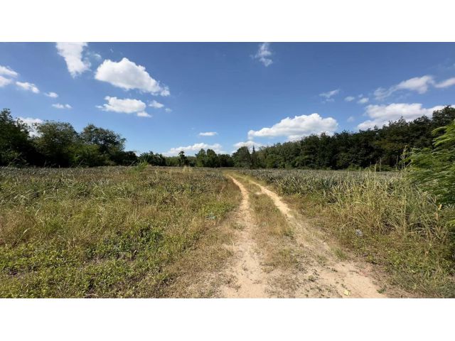 ที่ดิน ปากเเพรก จังหวัดระยอง เนื้อที่ 8 ไร่ 24 ตารางวา 2,500,000 บาท ต่อไร่