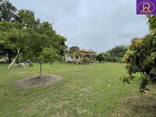 ขายบ้านสวน บ้านพัก 1-2-33ไร่ ผลไม้ และพืชหลากหลายชนิด เมืองชลบุรี