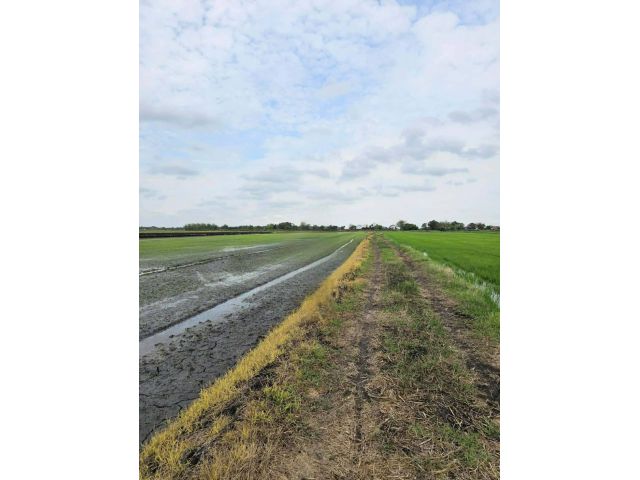 ขายที่ดิน หมู่ 3 ตำบลท่าเรือ อำเภอปากพลี จังหวัดนครนายก