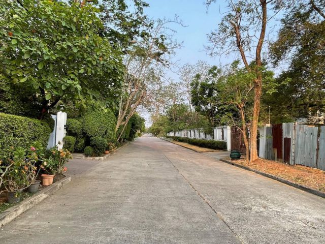 ขายที่ดินหมู่บ้านเสรีวิลล่า Seri Villa ศรีนครินทร์55 หน้าสวนหลวง ร.9 ที่ดิน 296ตร.ว ใกล้รถไฟฟ้าMrt 800ม. อยู่หลังพาราไดซ