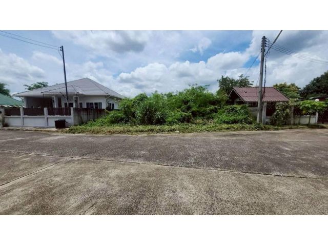 ขายที่ดินตำบลหนองผึ้งสารภีห่างถนนหลัก 700เมตร