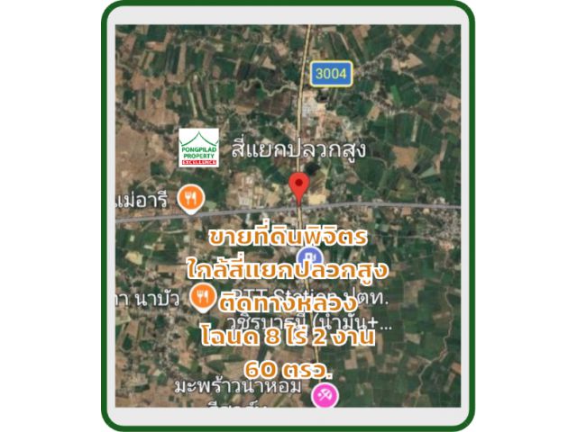 ขายที่ดินพิจิตร ใกล้สี่แยกปลวกสูง ติดทางหลวง 8 ไร่ 2 งาน 60 ตรว.