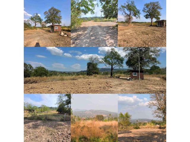 ขายที่ดินพร้อมบ้านพักตากอากาศ มีวิวเขาใหญ่ ใกล้ถนนเส้น 304 ประมาณ 400 เมตร  ใกล้อุโมงค์ทับลานและสวนนงนุช