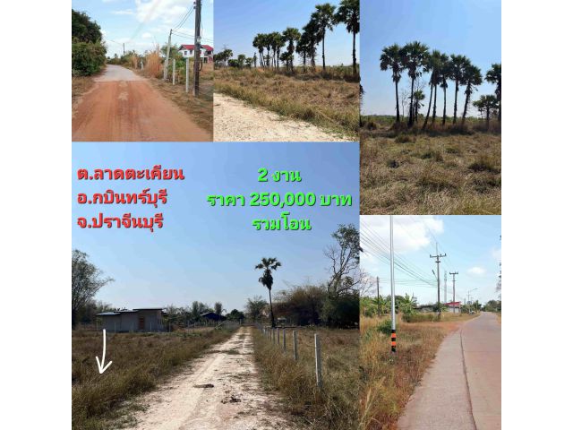 ขายที่ดินบ้านทุ่งขาม ลาดตะเคียน  2 งาน 250,000 บาทรวมโอน มีไฟฟ้า ประปา เพื่อนบ้าน