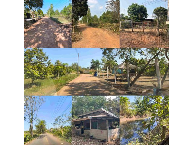 ขายบ้านสวนติดคลองธรรมชาติ  เนื้อที่ 1 ไร่ 2 งาน 84 ตรว. ที่ดินใกล้ถนนใหญ่  ใกล้ตลาดสด ปั๊มน้ำมัน CJ