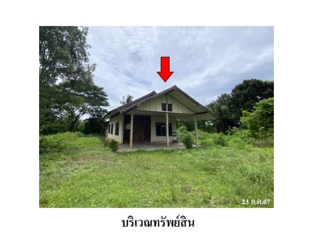 ขายบ้านเดี่ยว ถนน ตาดแคน ต.มุกดาหาร อ.เมืองมุกดาหาร จ.มุกดาหาร