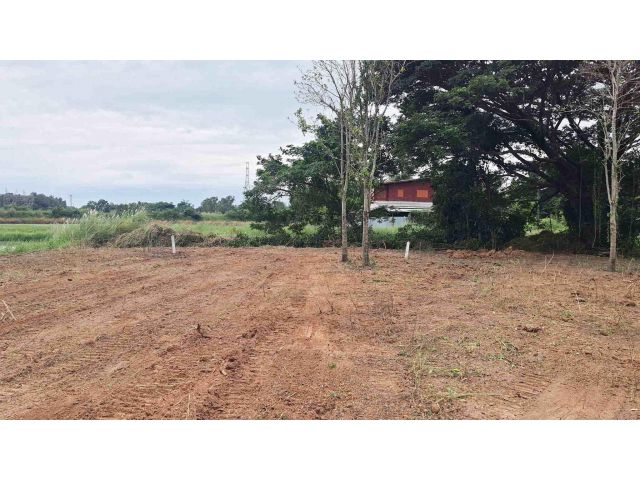 ขายที่ดิน ถูก ๆ 138 ตรว. ใกล้เทวาลัยศรีคชานัน สวย ๆ หน้ากว้าง