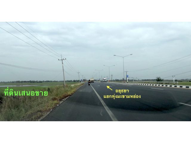 ขายยกแปลง 8,400,000 บาท ที่ดิน 7 ไร่ ติดถนนสี่เลน อยุธยา อ่างทอง ( ทล.309 )