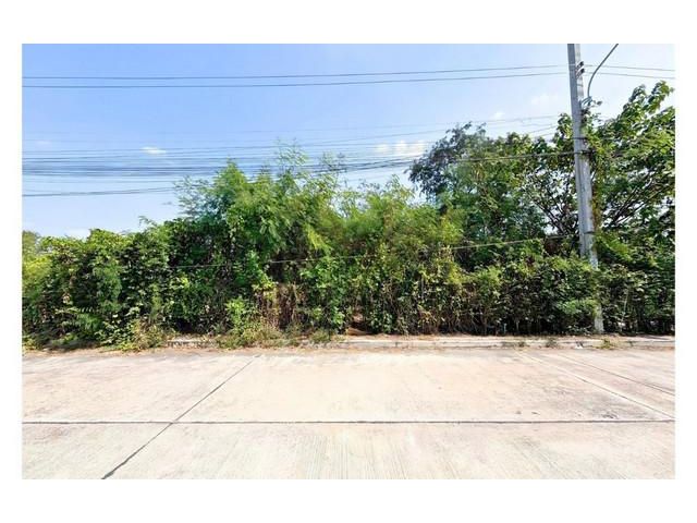 ขายที่ดินปากเกร็ด 201 ตารางวา รูปสี่เหลี่ยมผืนผ้า ซอยวัดสลักเหนือ