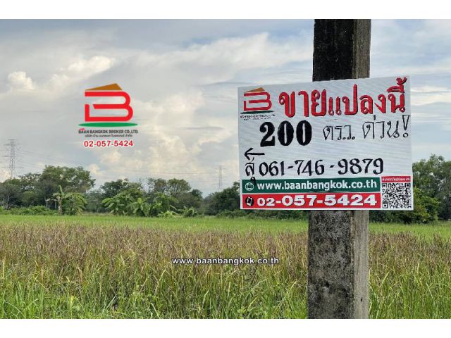 ที่ดินเปล่า ซอยเฉลิมกิจ (เลียบคลอง12) เนื้อที่ 200 ตร.ว ใกล้มัสยิดอิกอมาตุ้ล ตำบลหนองสามวัง อำเภอหนองเสือ ปทุมธานี