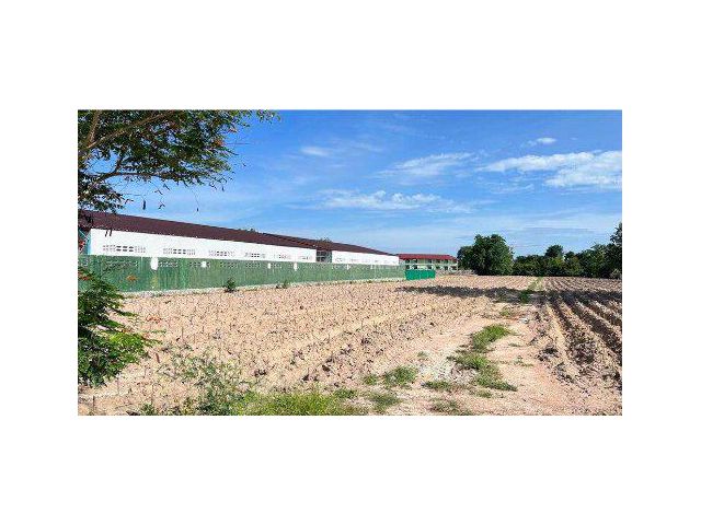 ขายที่ดิน 5 ไร่ ใกล้วิทยาลัยเทคนิคนิคมอุตสาหกรรมระยอง ถนนสุขุมวิท ต.ห้วยโป่ง อ.เมือง จ.ระยอง