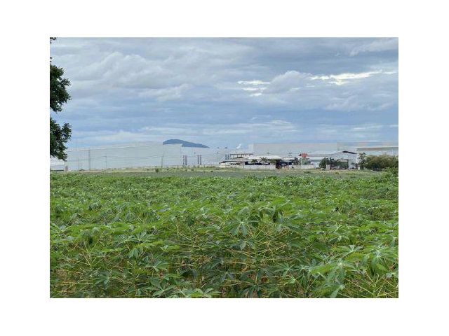 ขายที่ดิน 24 ไร่ ผังสีม่วงลาย ต.เขาคันทรง อ.ศรีราชา จ.ชลบุรี