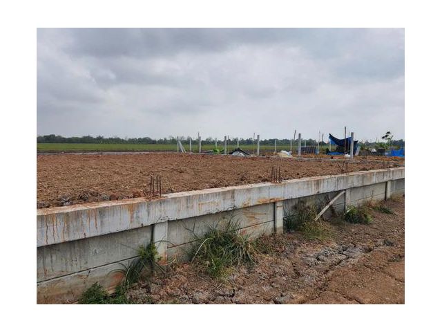 ขาย/ให้เช่าที่ดินถมแล้ว 100 ตร.ว. พร้อมกำแพงล้อมรอบ คลอง 4 คลองหลวง ปทุมธานี ที่ดินสวย ขนาดกำลังดี พร้อมพัฒนา