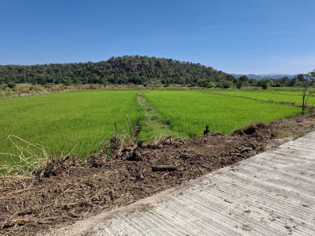 ขายด่วน!!!!! ที่ดินแปลงเล็กโฉนด 5-3-55 ไร่ ที่ 2 แปลง วิวภูเขา ติดน้ำ ต.ชำผักแพว อ.แก่งคอย จ.สระบุรี ขายยกแปลง 2,500,000