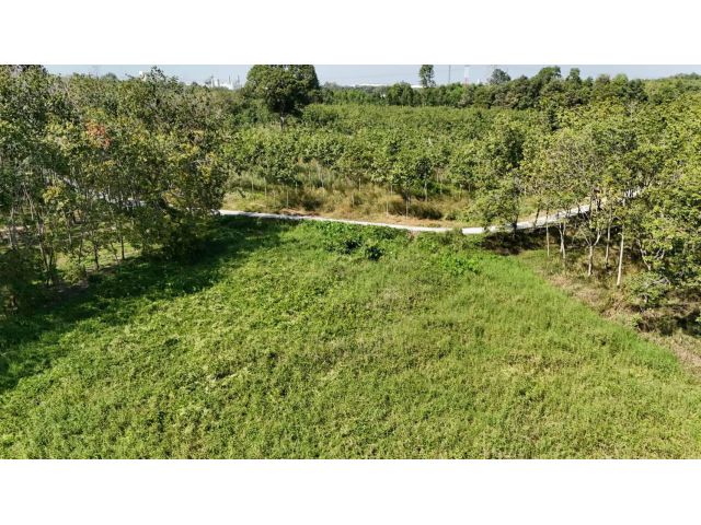 ขายที่ดินเปล่า 4-2-50 ไร่ ทำเลศักยภาพ ติดคลองกระเฉท น้ำไหลตลอดปี ใกล้นิคมอุตสาหกรรม ต.มาบข่า ระยอง