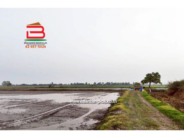 ที่ดินเปล่า เนื้อที่ 25-1-56 ไร่ เทศบาลไผ่กองดิน ถนนสุพรรณบุรี-ชัยนาท (340) ตำบลทองขาหย่าง อำเภอบางปลาม้า จังหวัดสุพรรณ