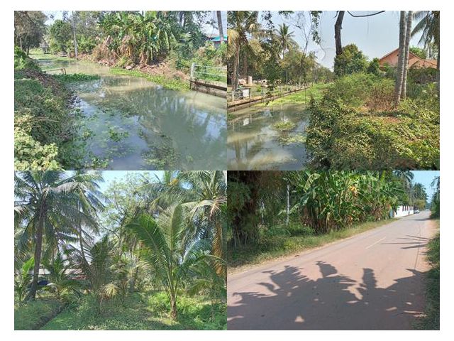 #ริมคลองหน้าที่กว้าง31ม. #ใกล้ถนน4เลนปากท่อสายเก่า3093นิดเดียว สวนมะพร้าว เนื้อที่ 1 ไร่ 3 งาน 74 ตารางวา