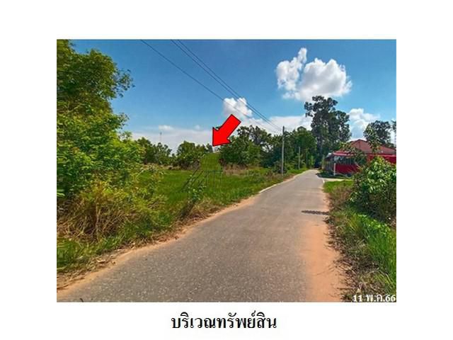 ขายที่ดินว่างเปล่า ต.ลุมพุก อ.คำเขื่อนแก้ว จ.ยโสธร
