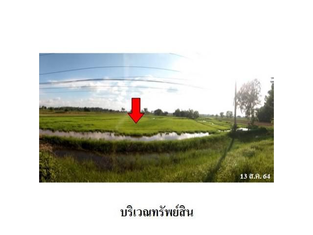 ขายที่ดินว่างเปล่า ต.ย่อ อ.คำเขื่อนแก้ว จ.ยโสธร