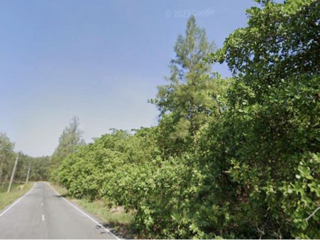 ขายที่ดินติดถนน อำเภอวังจันทร์