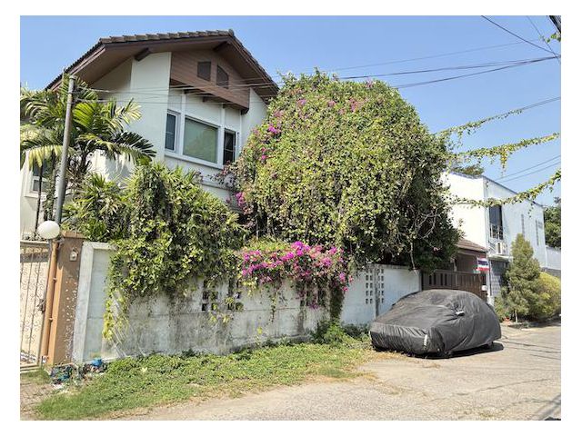 บ้านเดี่ยว 82 ตรว.ปลูกสร้างเอง ตกแต่งสวย ร่มรื่นสไตล์รีสอร์ท มีห้องแม่บ้าน อยู่ซอยนวมินทร์ 24