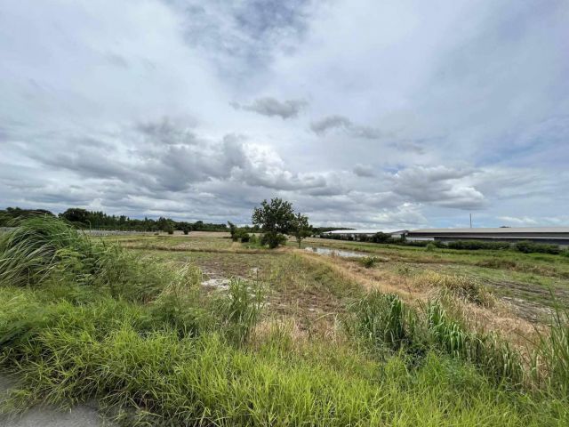 L1615 ขายที่ดินสีม่วงลาย 25 ไร่ แปลงยาว ฉะเชิงเทรา