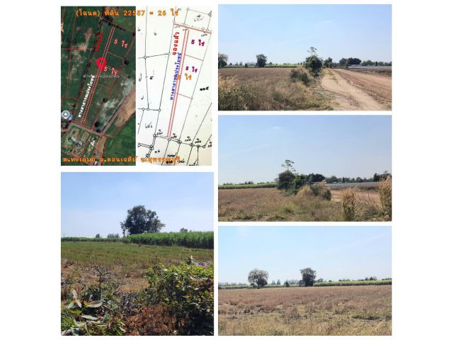 (โฉนด) ที่ดินแบ่ง 5-10 ไร่ๆละ 190,000 บ. (เหมาะทำไร่นา สวนผสม ทำการเกษตร) ทางถนนหินคลุก 8 ม. ไฟฟ้า น้ำประปา ต.ทะเลบก อ.ดอนเจดีย์ จ.สุพรรณบุรี