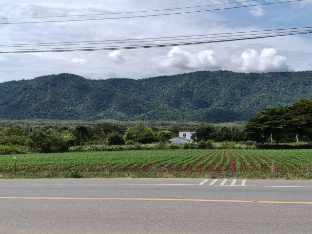 ขายที่ดินเขาใหญ่ ติดถนน3052 หมูสี ปากช่อง ที่ดิน 4 ไร่ติดถนนใหญ่ ใกล้ธนะรัชต์ ทางไปทอสคานา โป่งตาลอง ใกล้คีรีมายา วิวอุท