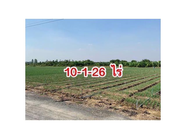 ที่ดินผืนใหญ่ทำเลดี10ไร่ โฉนดครุฑแดงพร้อมโอน ใกล้เทศบาลวังศาลา เข้าออกได้หลายทาง ติดถนนสาธารณะ ใกล้ทางด่วนM81 วิวสวย บรรยากาศดี