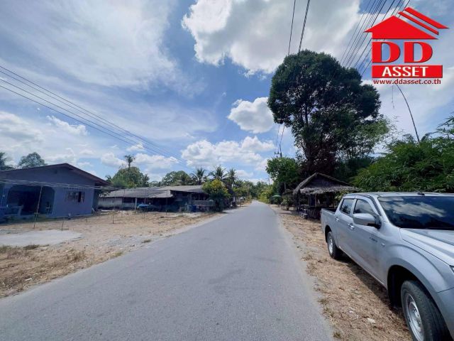 ขายที่ดินใกล้โรงเรียนสะเพลง อำเภอเฉลิมพระเกียรติ นครศรีธรรมราช