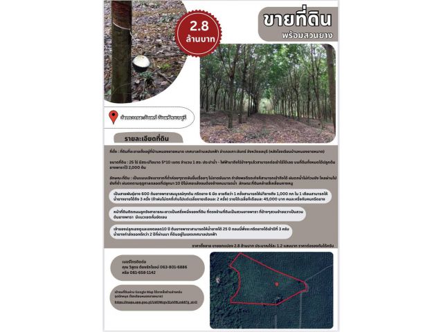 ขายที่สวนยางพารา 25 ไร่ พร้อมต้นยาง อายุ 11 ปี อ.เกาะจันทร์ จ. ชลบุรี