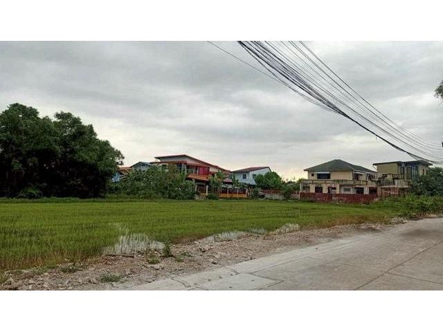 ขายขาดทุน ที่ดิน 1-1-96.8 ไร่ ผังสีชมพู ถนนเลียบคลองเปรมประชากร เหมาะสร้างบ้าน ทาวน์โฮม โกดัง คลังสินค้า